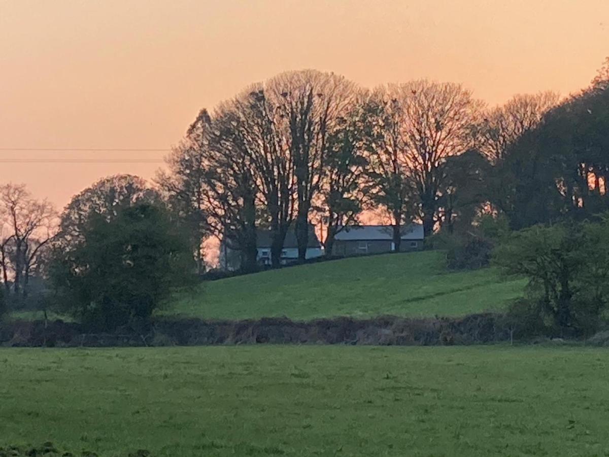 The Cottage Cork Exteriér fotografie